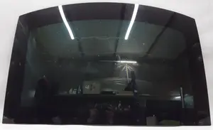 Скло люка з пошкодженням Tesla model S 1026856-S0-C