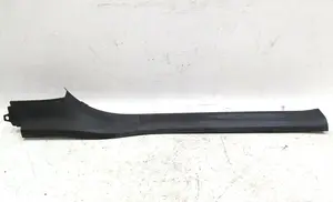 Облицювання порога передніх лівих дверей нижнє в зборі з окисленням поверхні Tesla model X 1035985-02-G