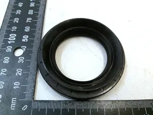 OUTPUT AXLE SEAL, DVI, HNBR 44 X 67 Tesla all models 1065932-00-A