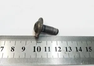 Болт петлі замка дверцят задніх PANFLG M8-1.25X16[9.8], ZNNI Tesla model X 1067479-00-A