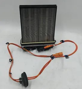 Varmeelement i den indvendige klimakontrolenhed (komfur) samlet med elektriske ledninger Tesla model 3 1088218-00-I