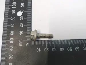 Болт з насічкою різьби SCR,HF,M6x22,[STL],SNZN,PTC,T2000 Tesla model Y 1508949-00-A