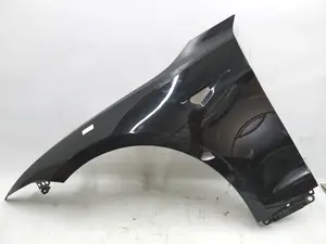 1 6008022-01-D x Ala anteriore sinistra PBSB con danni Tesla modello S, modello S REST 6008022-01-D