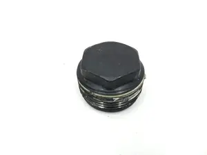 Schneckenwellenstopfen Tesla Model S REST, Model X, Model 3, Model Y 1070801, 1044831